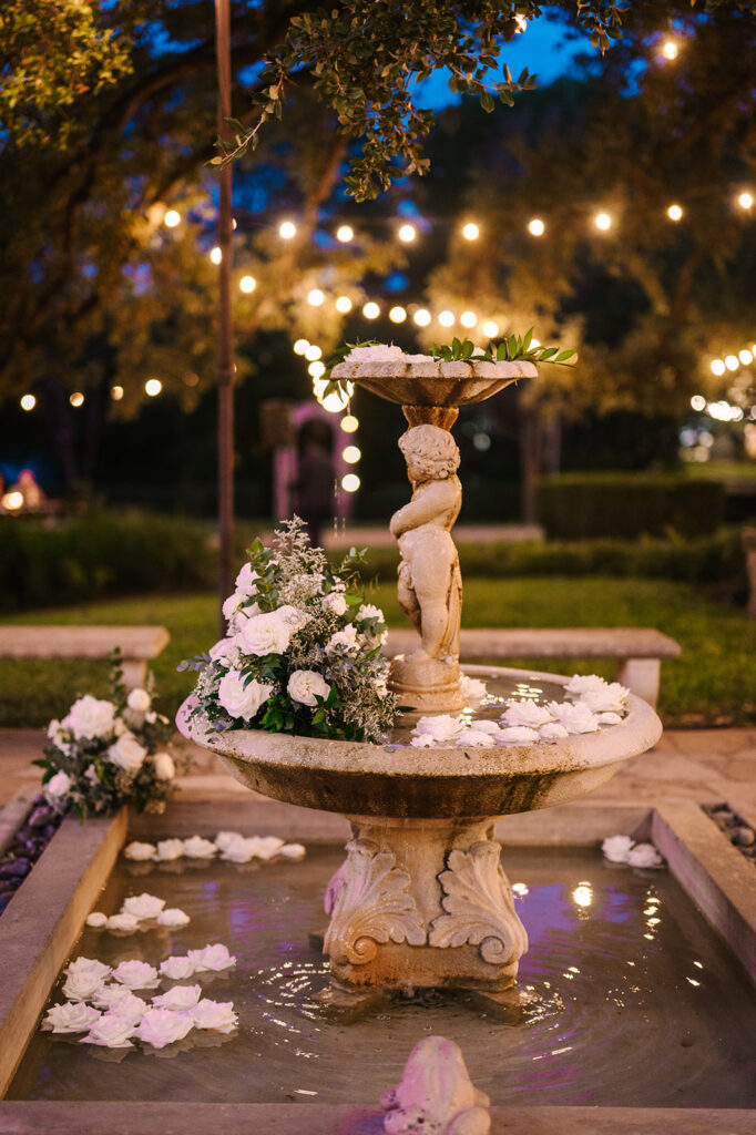 fountain at night at Laguna Gloria